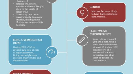 what causes high cholesterol what causes high cholesterol
